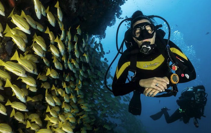 Article Image for Best Travel Diving Locations in the World