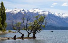 Exploring the Natural Wonders of New Zealand