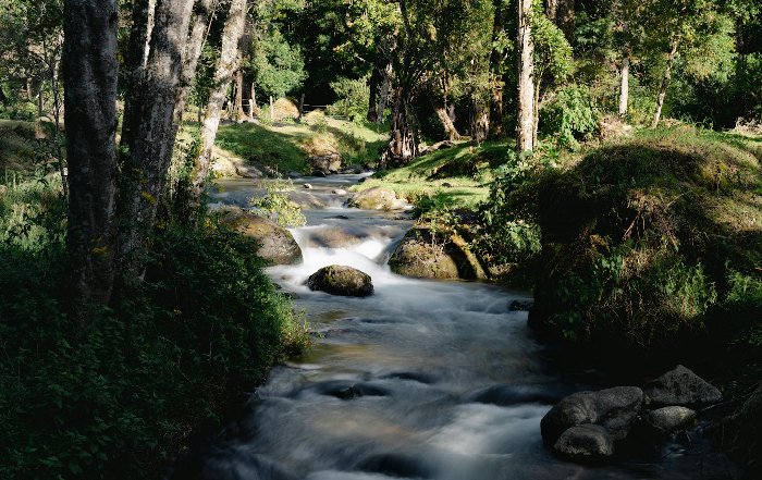 Article Image for Family Adventures in Costa Rica