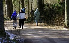 Article Image for Health and Nature Tourism Trends in France