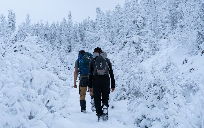 Article Image for Seasonal Travel for the Best Experience
