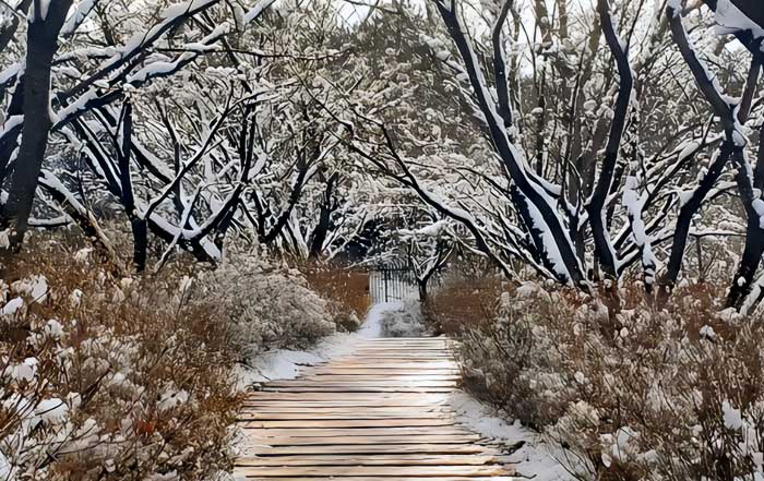 The Future of Sustainable Travel Trends