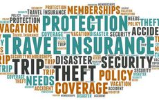 Travel Insurance Industry Market Facts and Stats in 2024