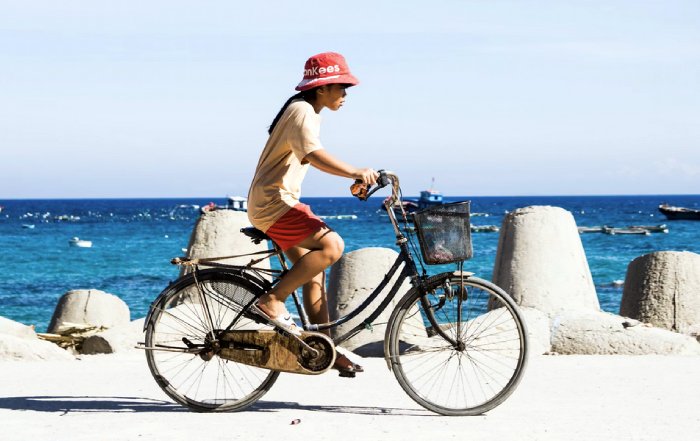 Article Image for Travel Destinations Leading the Way in Sustainable Tourism