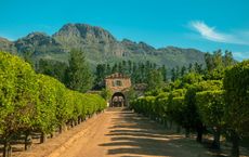 Article Image for Wine Tourism in South Africa